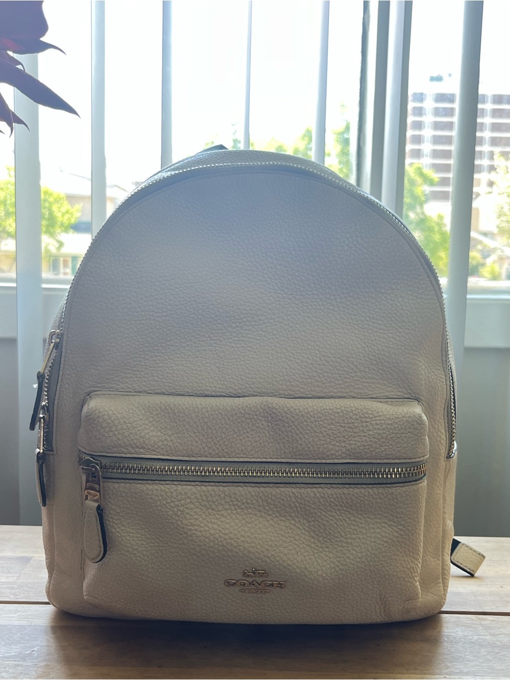 Coach Pebbled Leather Mini Backpack in Cream